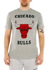 фото Футболка Backcourt Chicago Bulls Grey