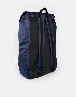 фото Синій рюкзак D-Struct