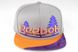 Кепка снепбек бейсболка Reebok Forest сірий / помаранчевий / фіолетовий | Unitedshop.com.ua