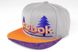 Кепка снепбек бейсболка Reebok Forest серый / оранжевый / фиолетовый | Unitedshop.com.ua